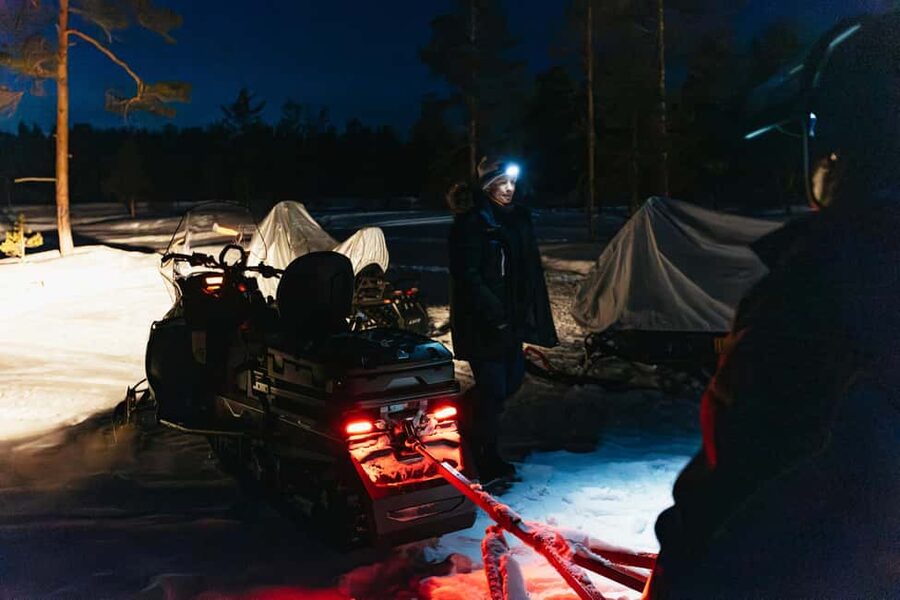 Rovaniemi: Northern Lights Family-Friendly Snowmobile Safari - Group size, pace, and the overall feel