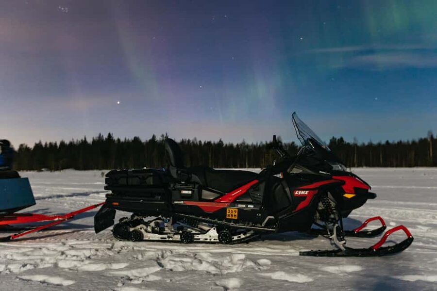 Rovaniemi: Northern Lights Family-Friendly Snowmobile Safari - Who should book this Rovaniemi safari?