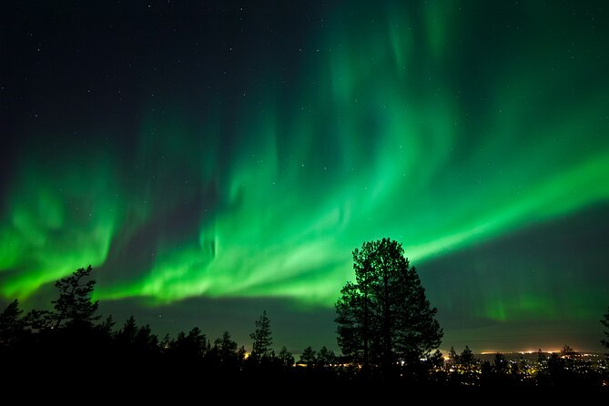 Rovaniemi: Northern Lights Group Tour - Guaranteed View - What the five to six hours feel like