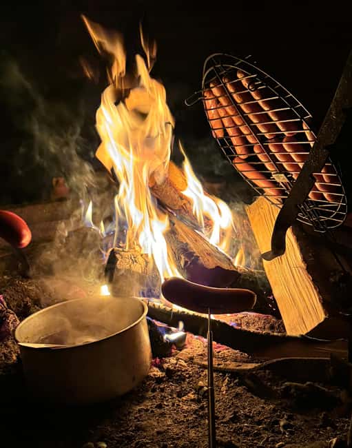 Rovaniemi:Northern Lights Hunt in Lapland Wilderness - Key points before you book