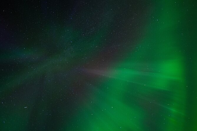 Rovaniemi: Northern lights money back tour - What the three to five hours really offer