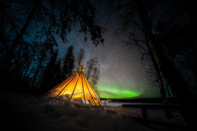 Rovaniemi Northern Lights Photography Small-Group Tour - Learning night photography without a lecture