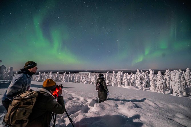 Rovaniemi Northern Lights Photography Small-Group Tour - The real value of $175.43