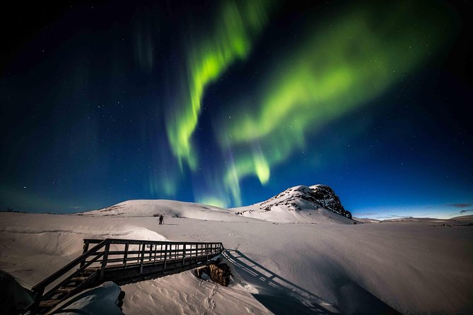 Rovaniemi Northern Lights Photography Small-Group Tour - Who should book this Rovaniemi aurora tour?
