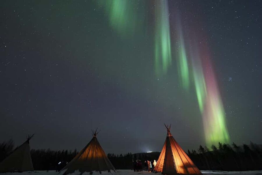 Rovaniemi: Northern Lights Photography Tour & BBQ - The photography session under the dark sky
