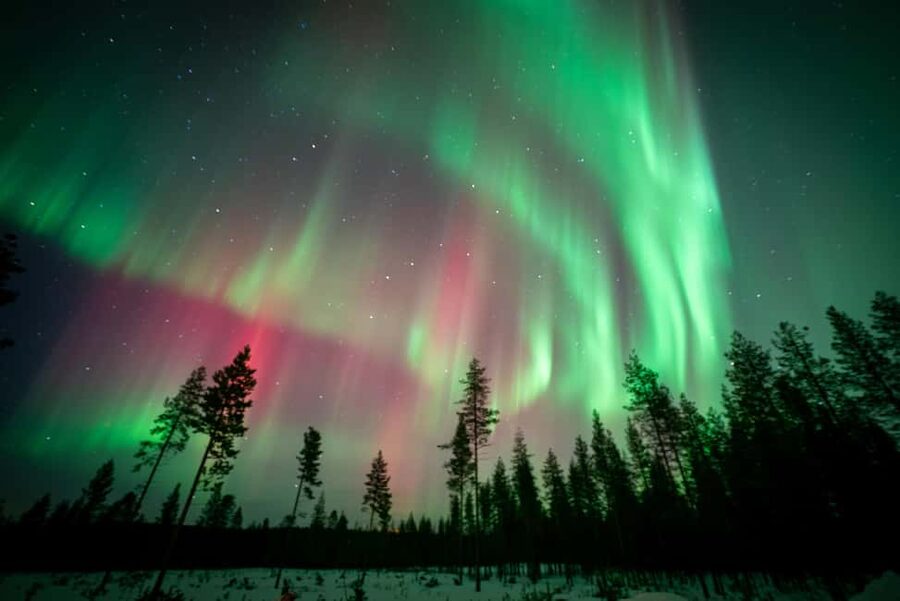 Rovaniemi: Northern Lights Photography Tour & BBQ - Warm clothing and the reality of the cold