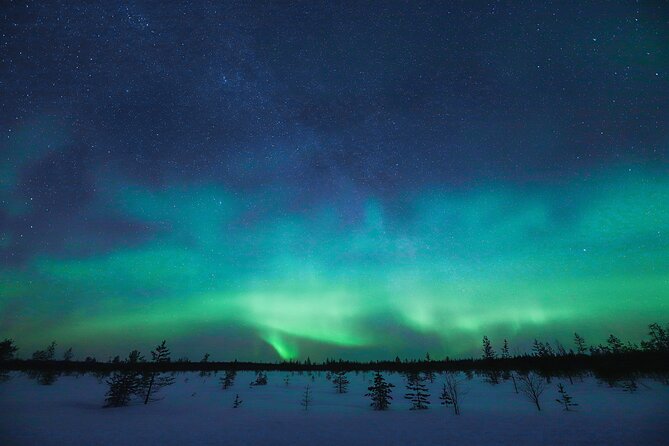 Rovaniemi: Northern Lights Pro Guaranteed - Unlimited Distance - Photography Help and the Reality of Aurora Images