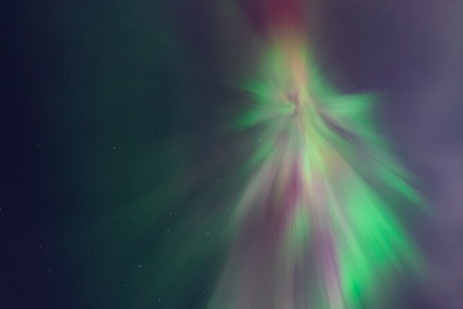 Rovaniemi: Northern Lights Pro Guaranteed - Unlimited (PRIVATE) - Campfire food, hot drinks, and the promised extras