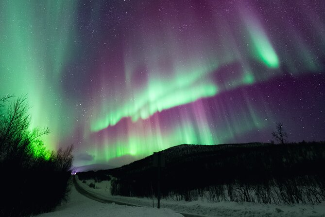 Rovaniemi: Northern Lights Pro Guaranteed - Unlimited (PRIVATE) - Following the forecast beyond Rovaniemi