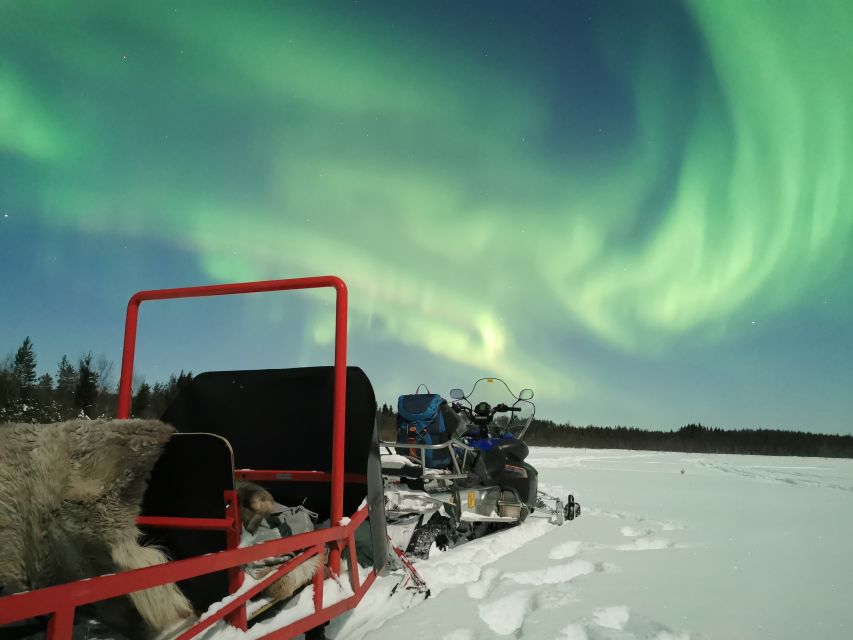 Rovaniemi: Northern Lights Sledge Ride - Who will enjoy this ride most