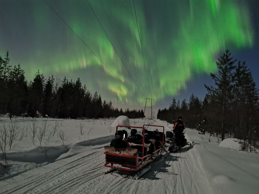 Rovaniemi: Northern Lights Sledge Ride - The honest verdict on the aurora gamble