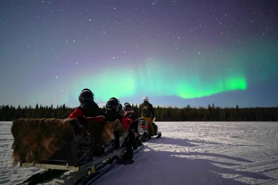 Rovaniemi: Northern Lights Sleigh Ride - Guides can make or break a cold-weather tour