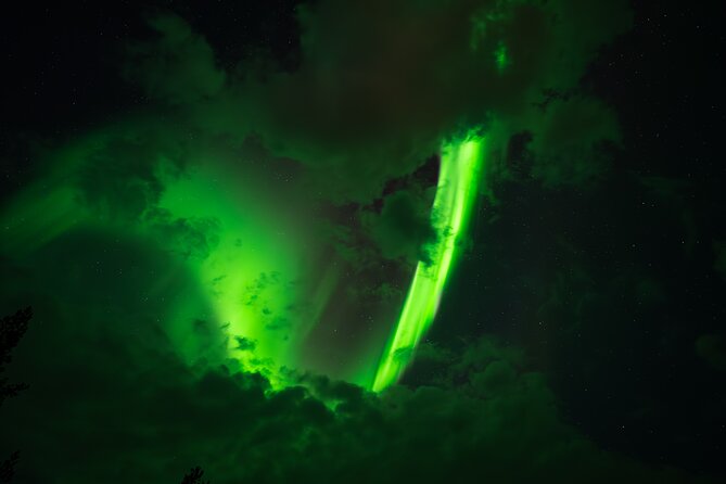 Rovaniemi: Northern Lights Small Group Money-Back Guarantee - Key points to know before booking