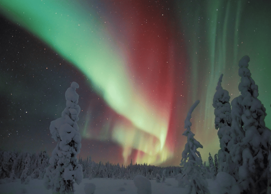 Rovaniemi: Northern Lights Snowmobile Safari with Campfire - Key points to know before booking