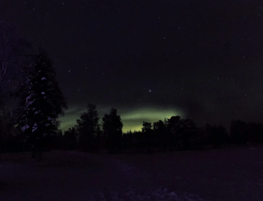 Rovaniemi: Northern Lights Snowmobile Safari with Campfire - Setting out from Rovaniemi after dark