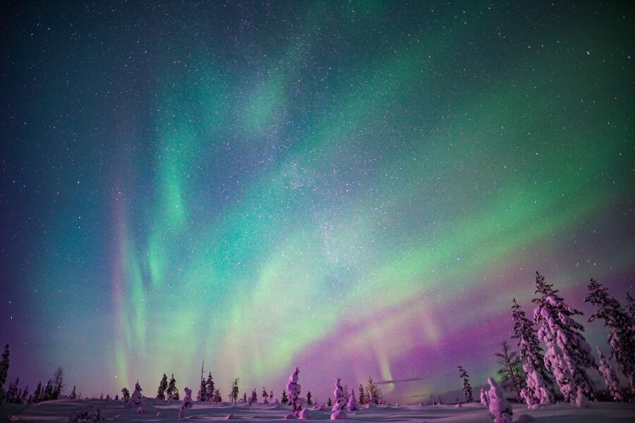Rovaniemi: Northern Lights Snowmobile Tour - Riding into the snowy taiga
