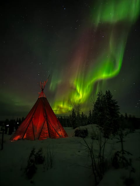Rovaniemi: Northern Lights Tour at the Campfire - The No-Toilet Rule Is More Than a Footnote