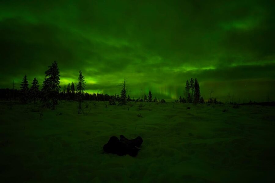 Rovaniemi: Northern Lights Tour at the Campfire - One Hundred Minutes Around the Fire and Teepee