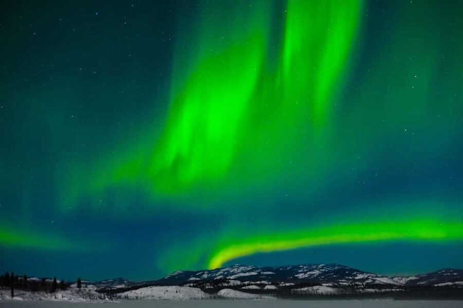 Rovaniemi: Northern Lights Tour with BBQ - What happens if the Northern Lights appear