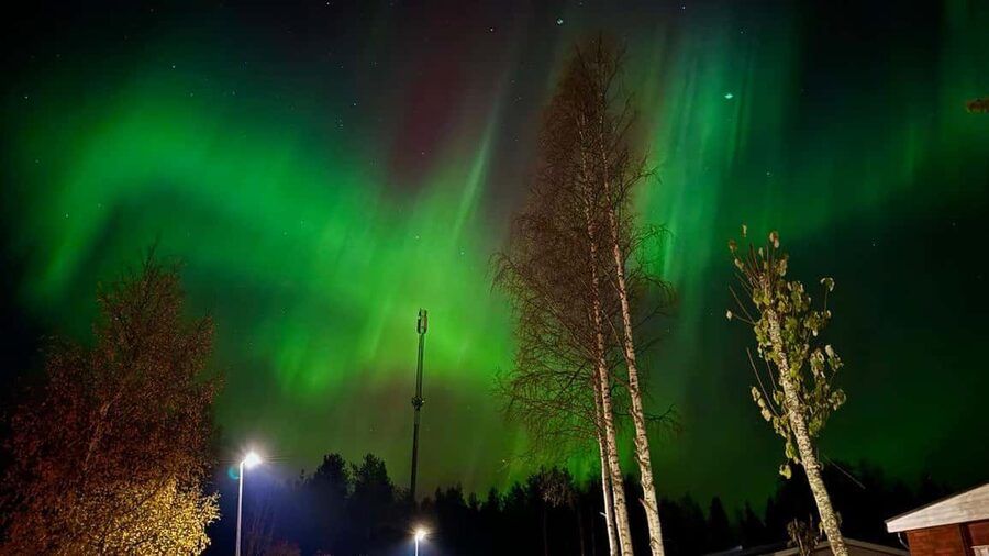 Rovaniemi: Northern Lights Tour with BBQ - Friendly guidance and a reassuring atmosphere