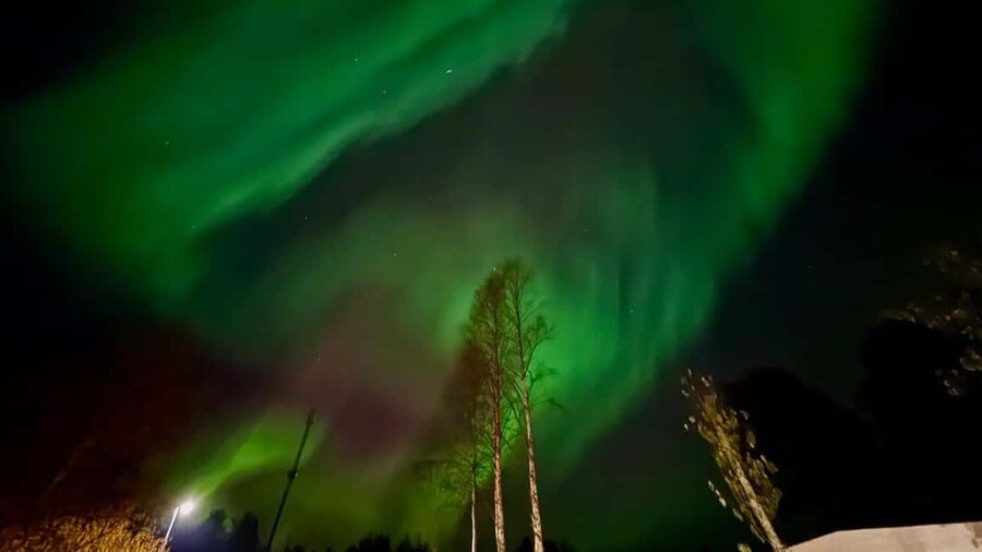 Rovaniemi: Northern Lights Tour with BBQ - Who will enjoy this three-hour experience