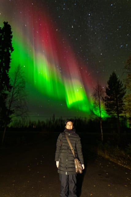 Rovaniemi: Northern Lights Tour with Guarantee - Should You Book It?