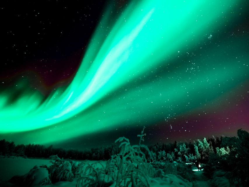 Rovaniemi: Northern Lights Tour with Guaranteed Sightings - Key points at a glance