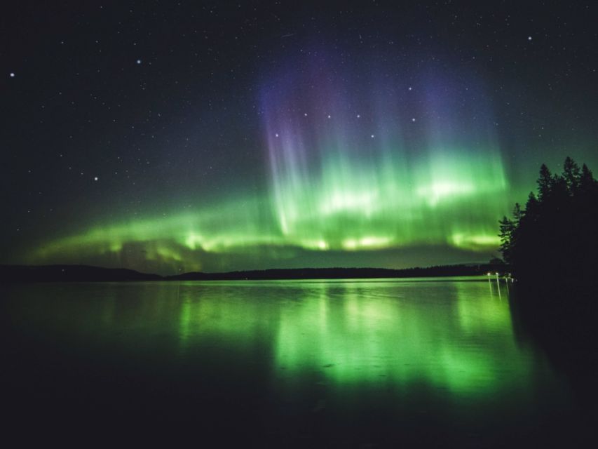 Rovaniemi: Northern Lights Tour with Guaranteed Sightings - Group size, guiding, and the human side