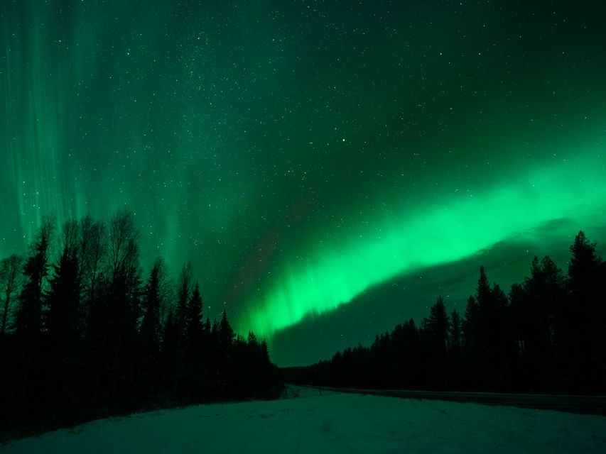 Rovaniemi: Northern Lights Tour with Guaranteed Sightings - Is $164 a fair price?