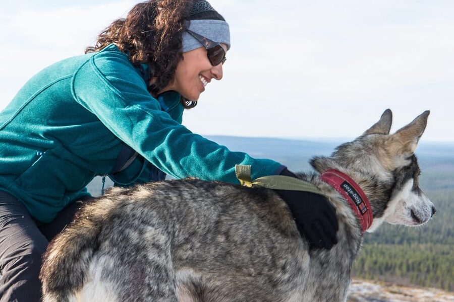 Rovaniemi: One Hour Husky Experience - Key points to know before booking