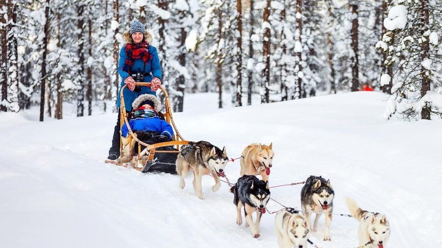 Rovaniemi: One Hour Husky Experience - Season, clothing, and timing