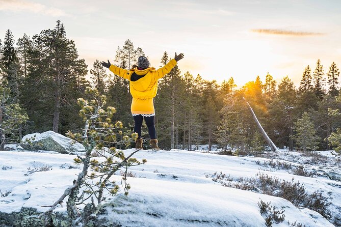 Rovaniemi photography tour - Is $433.06 a good price?