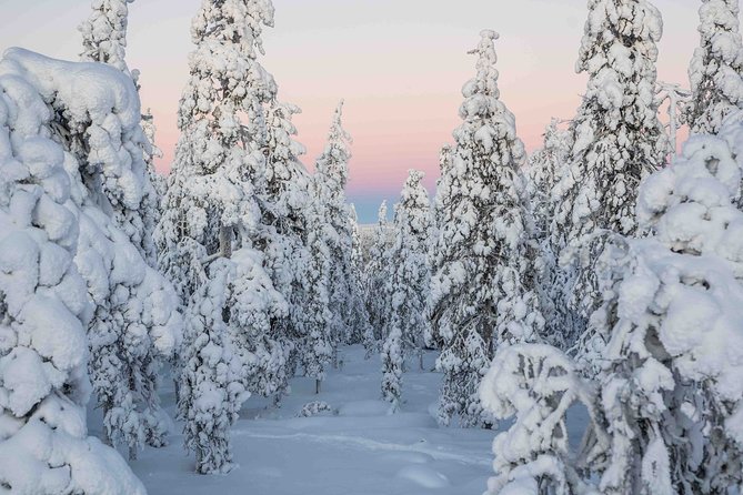 Rovaniemi photography tour - Who should book this tour?