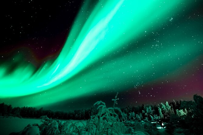 Rovaniemi: Private Aurora Tour with Guaranteed Sightings - Why a private Aurora hunt can make sense in Rovaniemi