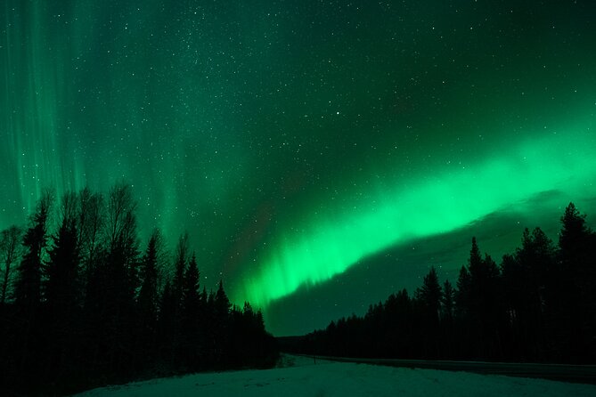 Rovaniemi: Private Aurora Tour with Guaranteed Sightings - Why the private format costs more