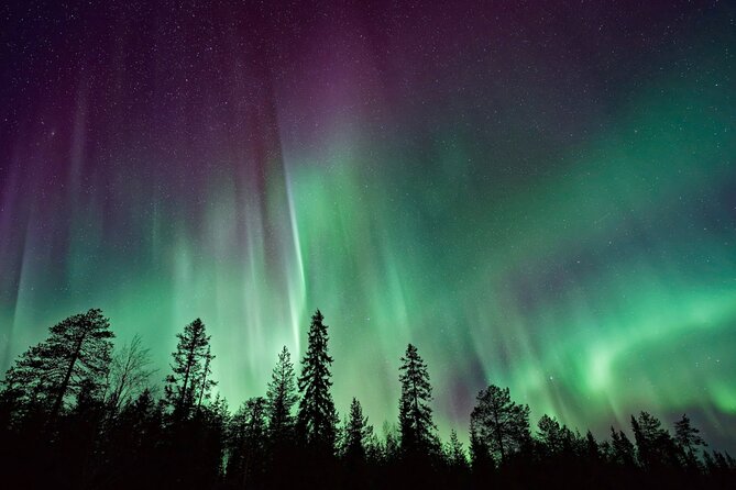 Rovaniemi: Private Aurora Tour with Guaranteed Sightings - Weather, cancellations, and the guarantee