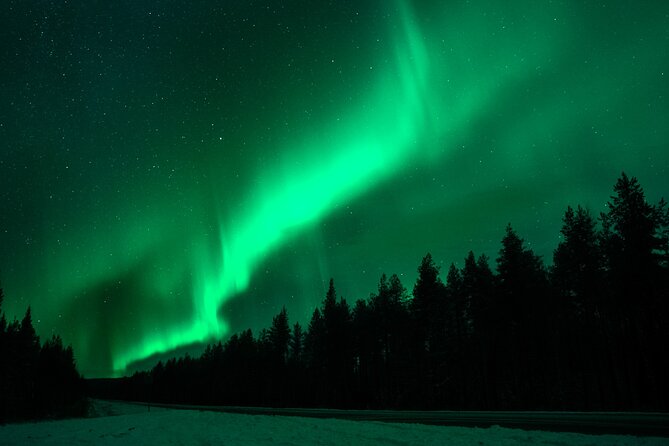 Rovaniemi: Private Aurora Tour with Guaranteed Sightings - Why the private format matters