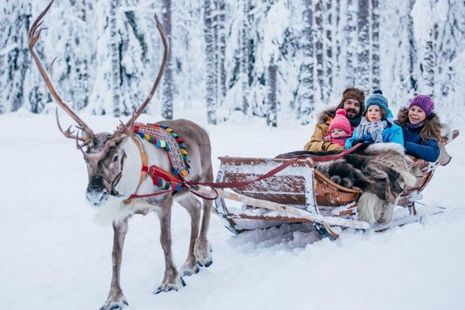 Rovaniemi Private Transfer from Rovaniemi city centre to Rovaniemi airport - Booking details that deserve a second look