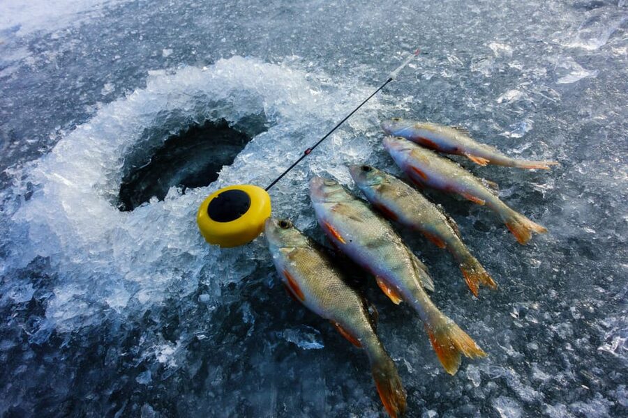 Rovaniemi: Quad Bike Ride and Ice Fishing - Who will get the most from this tour