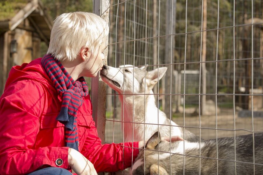 Rovaniemi: Quad Bike Safari, Reindeer & Husky Farm Visit - Taking the ATV into the Arctic Circle forest