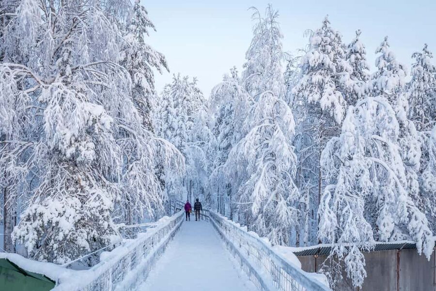Rovaniemi: Ranua Zoo Wildlife Park Tour with hotel pickup - Weather, activity levels, and what to wear