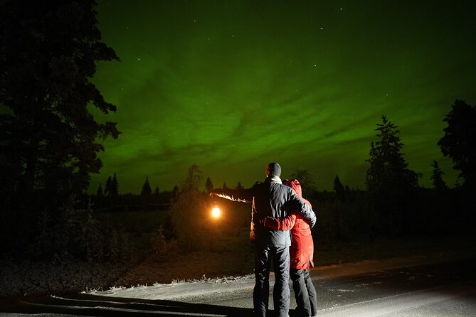 Rovaniemi – Real Northern Lights Hunting Experience (Small Group) - What the long driving time means for value