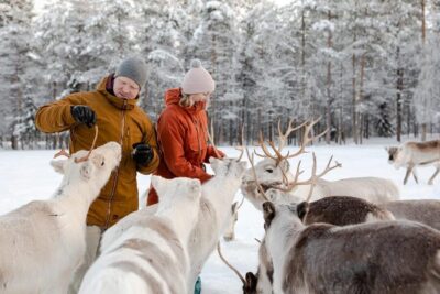 Reindeer Farm Visit and Sleigh Ride with transfer