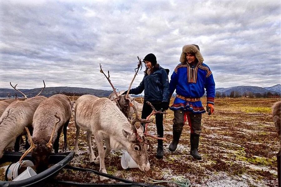 Rovaniemi: Reindeer Farm Visit in the Summer - Key points to know before booking