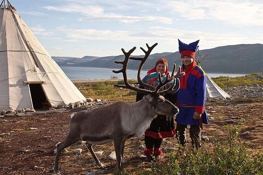 Rovaniemi: Reindeer Farm Visit in the Summer - What $146 includes, and what it does not