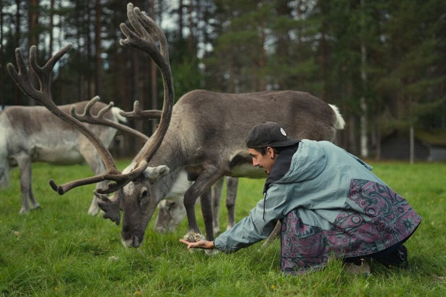 Rovaniemi: Reindeer Farm Visit with Photographer - The 400-meter sleigh ride