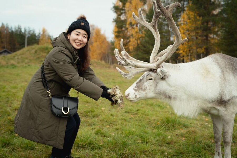 Rovaniemi: Reindeer Farm Visit with Photographer - Arriving at a long-running reindeer farm