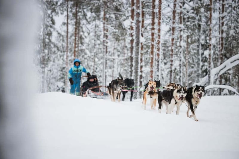 Rovaniemi: Reindeer, Huskies & Santa Claus Village - Winter clothing makes a real difference