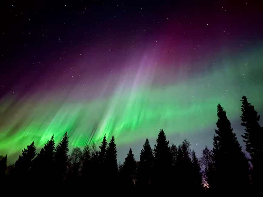 Rovaniemi: Reindeer, Huskies, Santa's Pets & Aurora Hunt - Guides make the difference