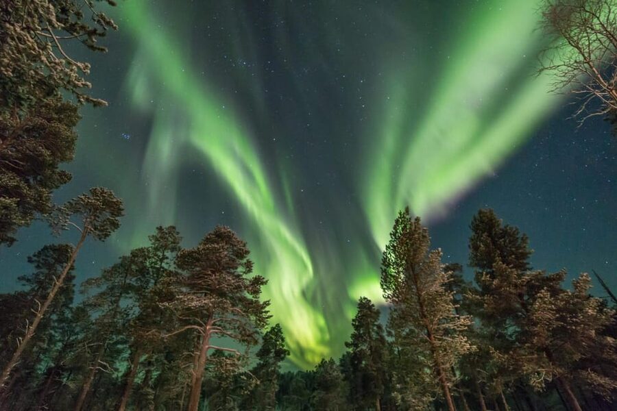 Rovaniemi: Reindeer Safari and Northern Lights Tour - Key points to know before booking